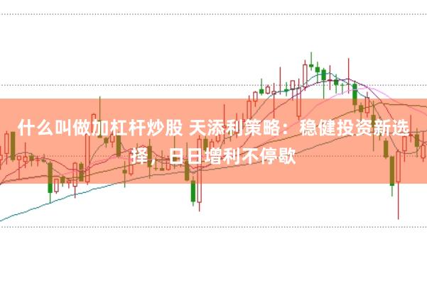 什么叫做加杠杆炒股 天添利策略：稳健投资新选择，日日增利不停歇