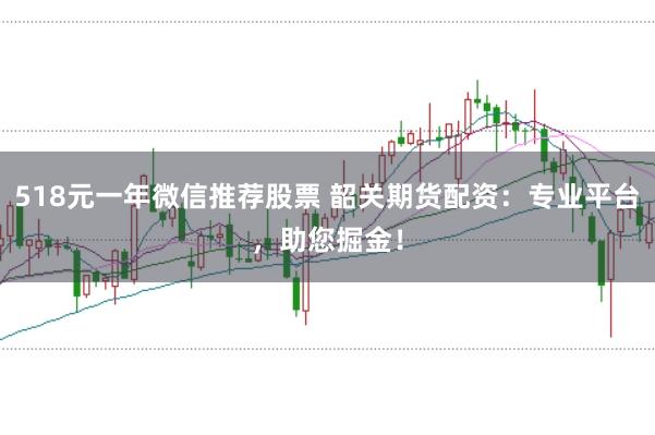 518元一年微信推荐股票 韶关期货配资：专业平台，助您掘金！