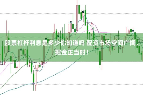股票杠杆利息是多少你知道吗 配资市场空间广阔，掘金正当时！