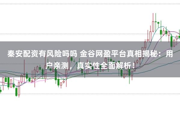 秦安配资有风险吗吗 金谷网盈平台真相揭秘：用户亲测，真实性全面解析！