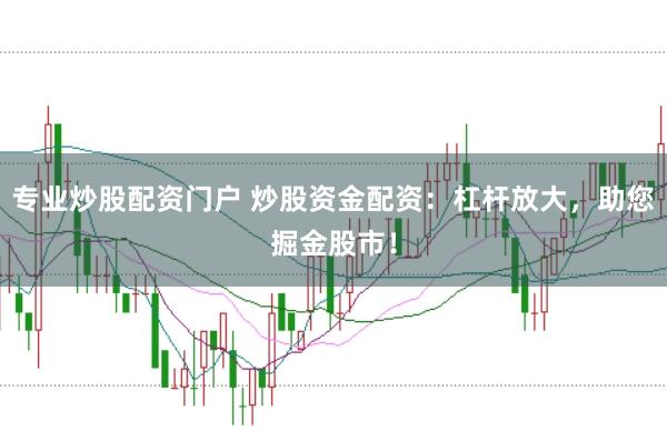 专业炒股配资门户 炒股资金配资：杠杆放大，助您掘金股市！