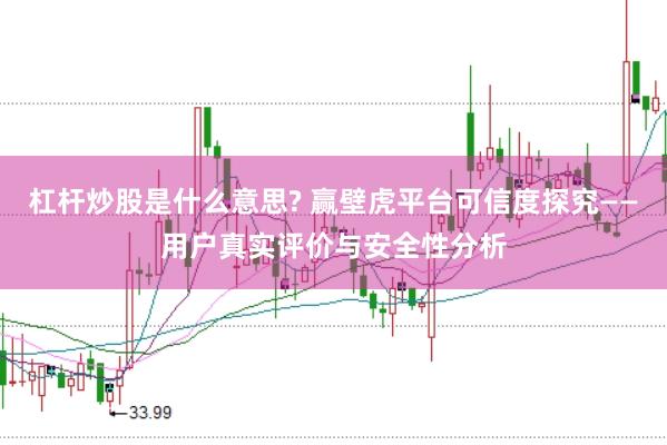 杠杆炒股是什么意思? 赢壁虎平台可信度探究——用户真实评价与安全性分析