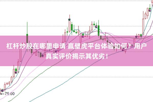 杠杆炒股在哪里申请 赢壁虎平台体验如何？用户真实评价揭示其优劣！