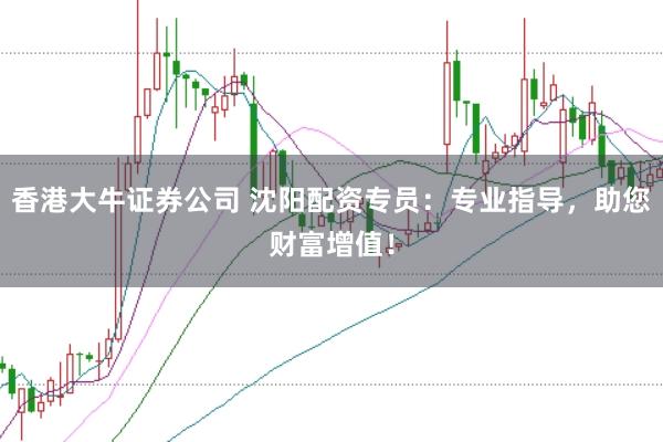 香港大牛证券公司 沈阳配资专员：专业指导，助您财富增值！