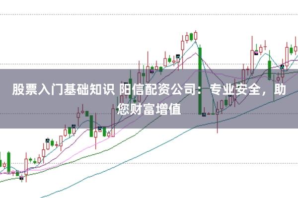 股票入门基础知识 阳信配资公司：专业安全，助您财富增值