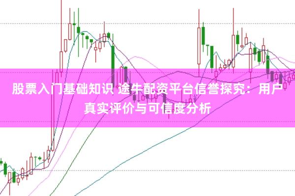 股票入门基础知识 途牛配资平台信誉探究：用户真实评价与可信度分析